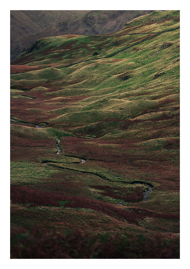 Autumn's Tapestry