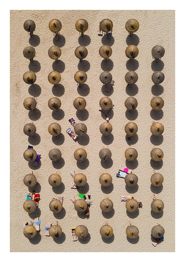Bird's-Eye View
