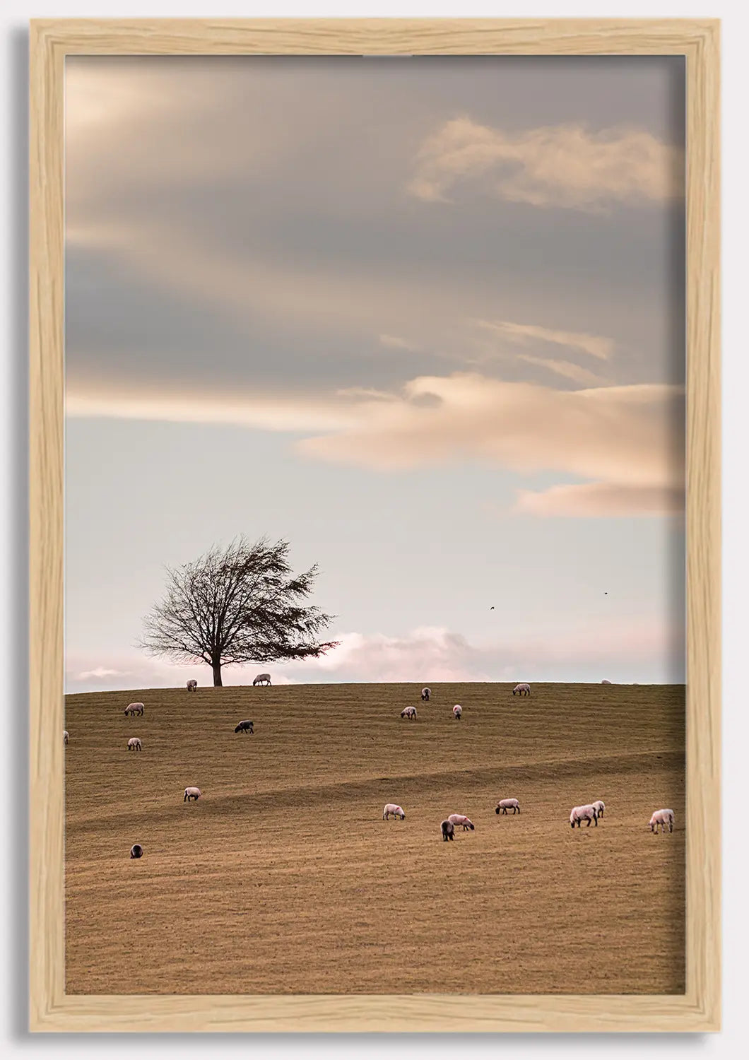 Whispers of the Meadow