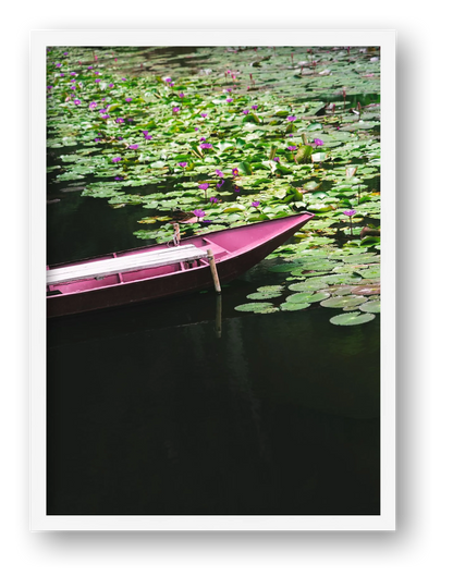 Lotus Drift — framed