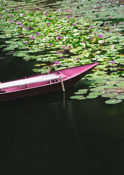 Lotus Drift