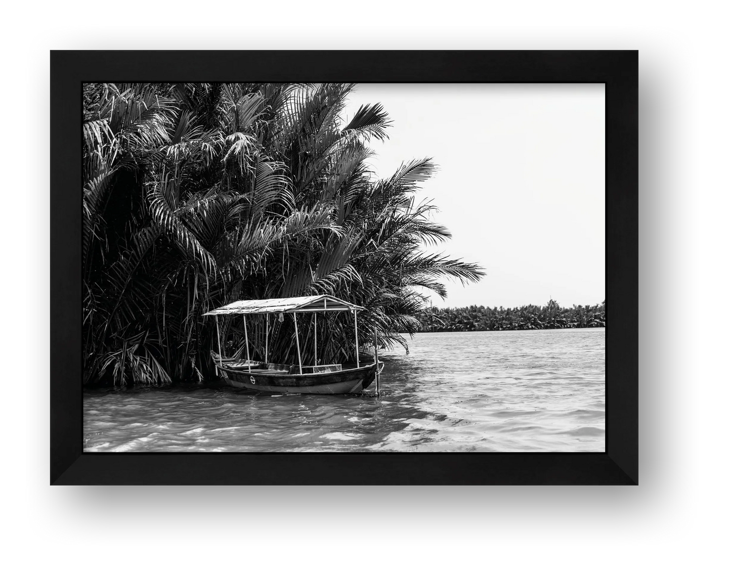 Tropical Stillness — framed