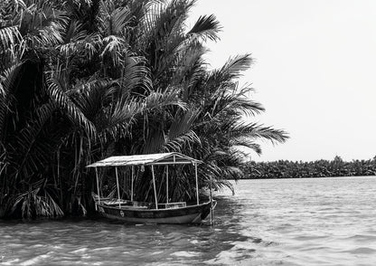 Tropical Stillness