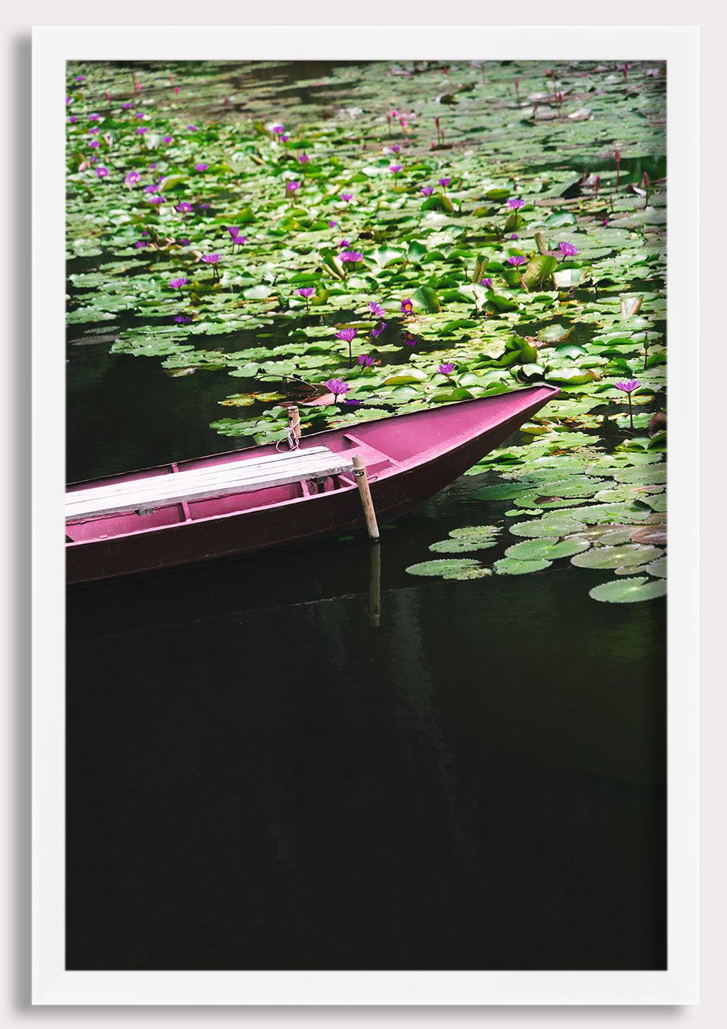 Lotus Drift