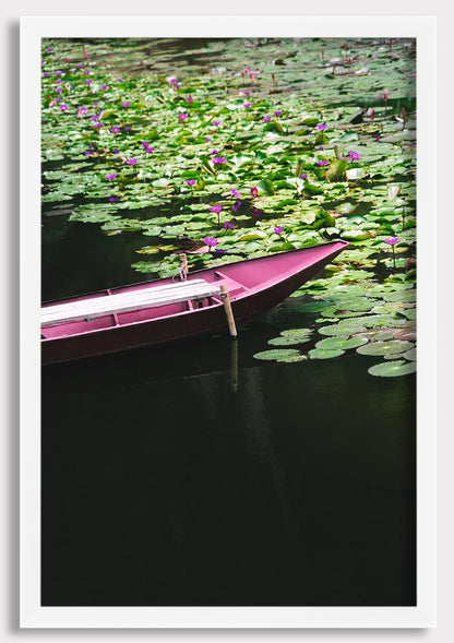 Lotus Drift
