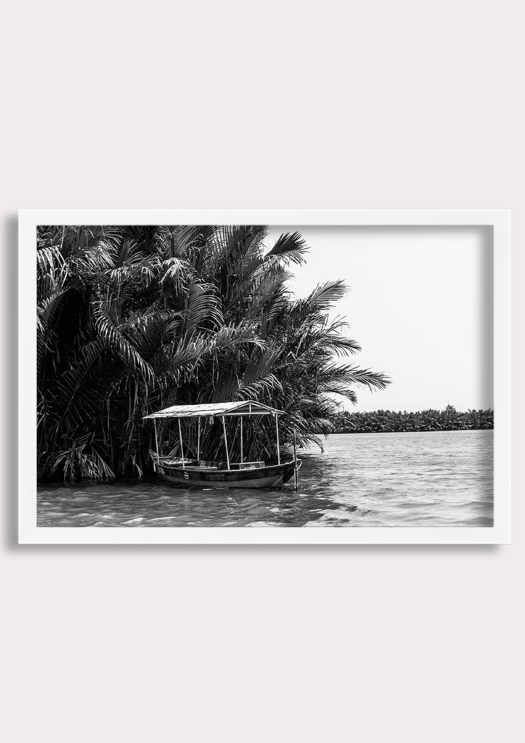 Tropical Stillness