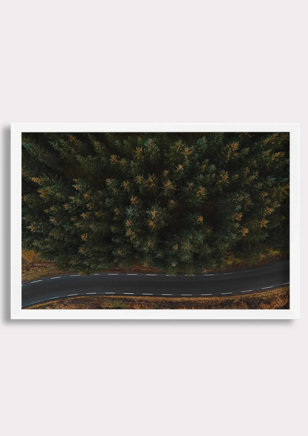 Winding Through Wilderness