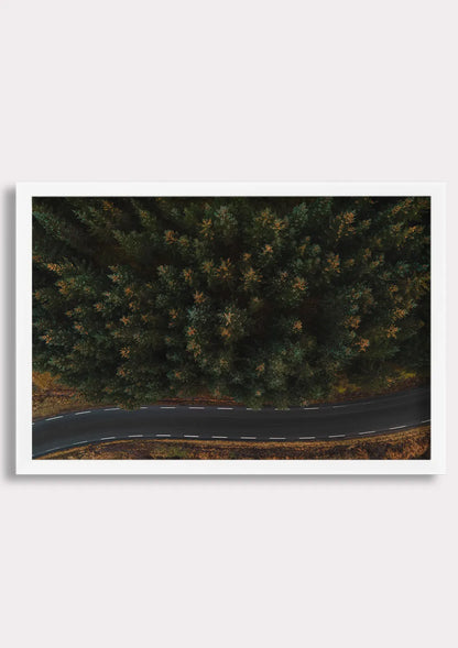 Winding Through Wilderness