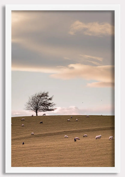 Whispers of the Meadow