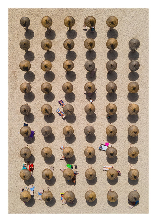 Bird's-Eye View