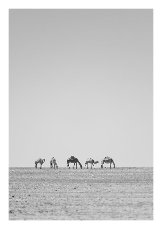 Caravan Journey-2