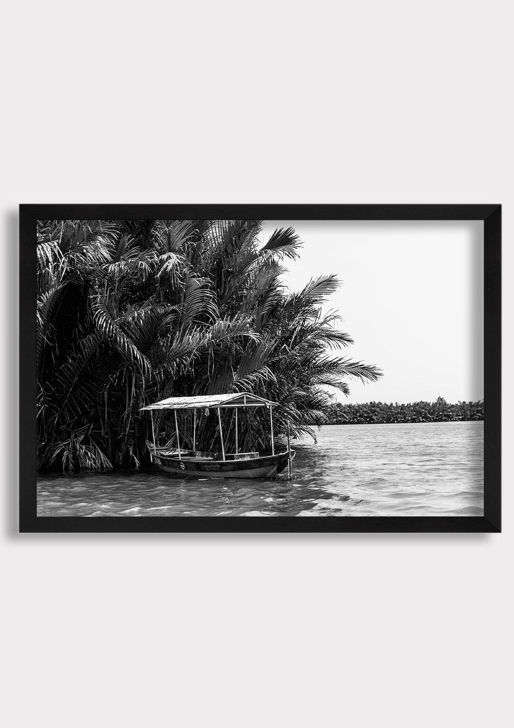Tropical Stillness