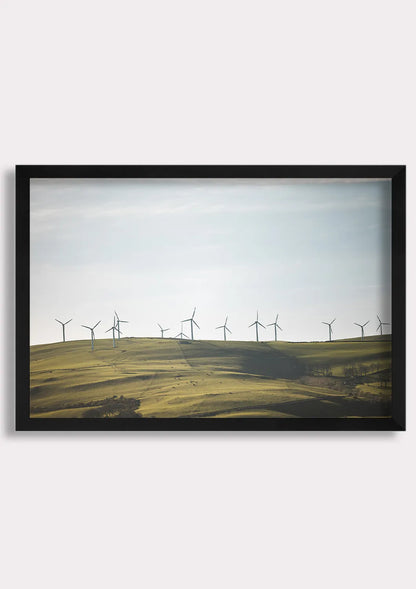 Whispers of the Wind