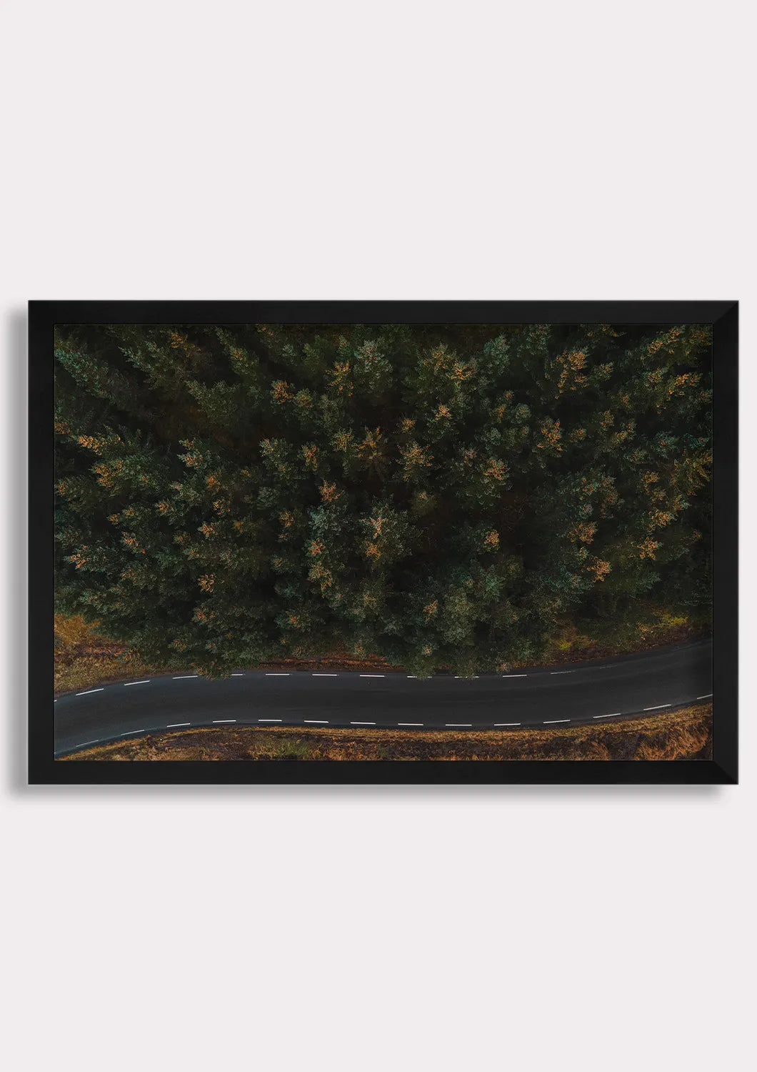 Winding Through Wilderness