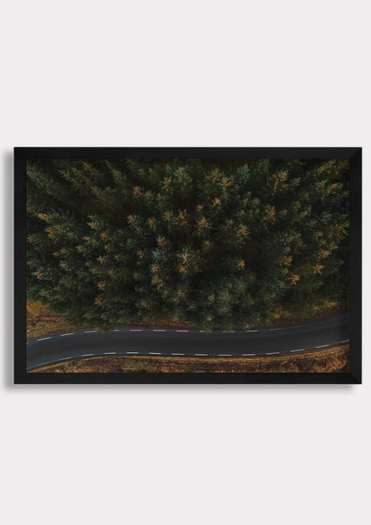 Winding Through Wilderness