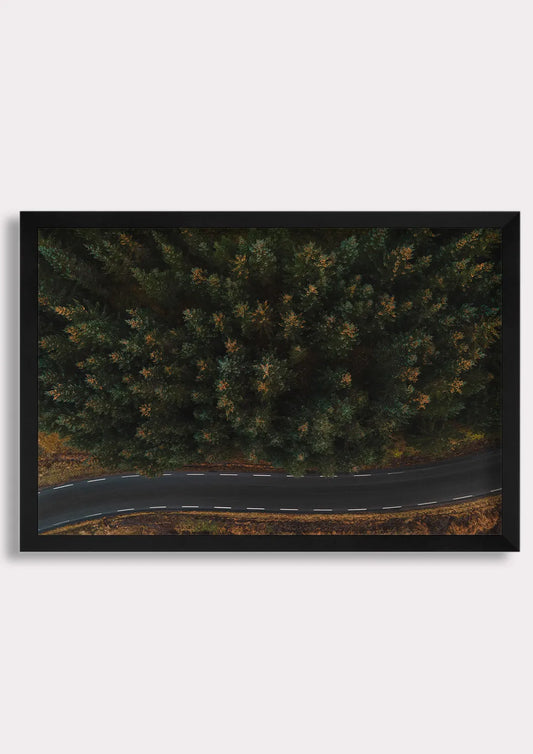 Winding Through Wilderness