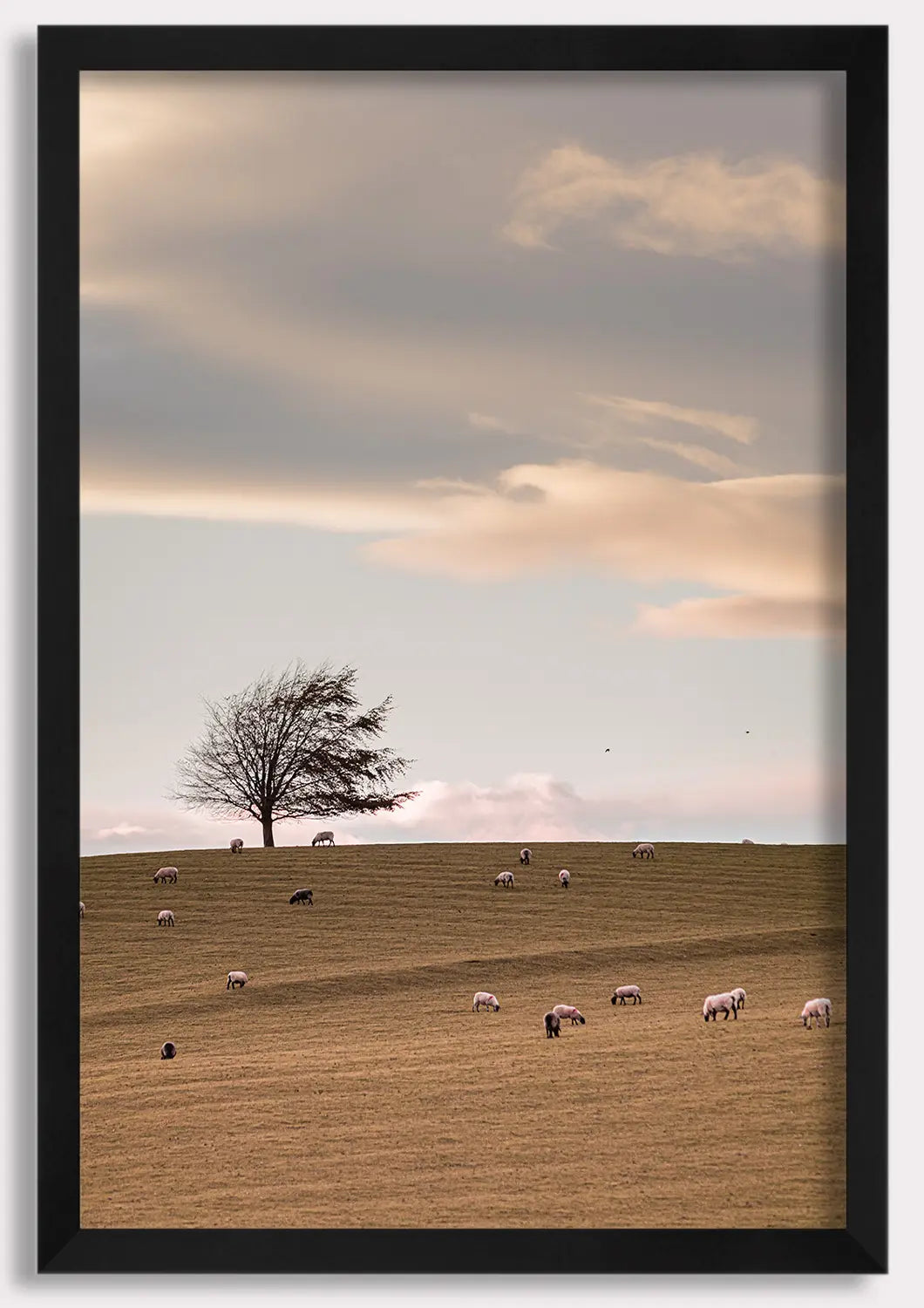 Whispers of the Meadow