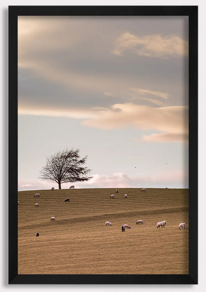 Whispers of the Meadow