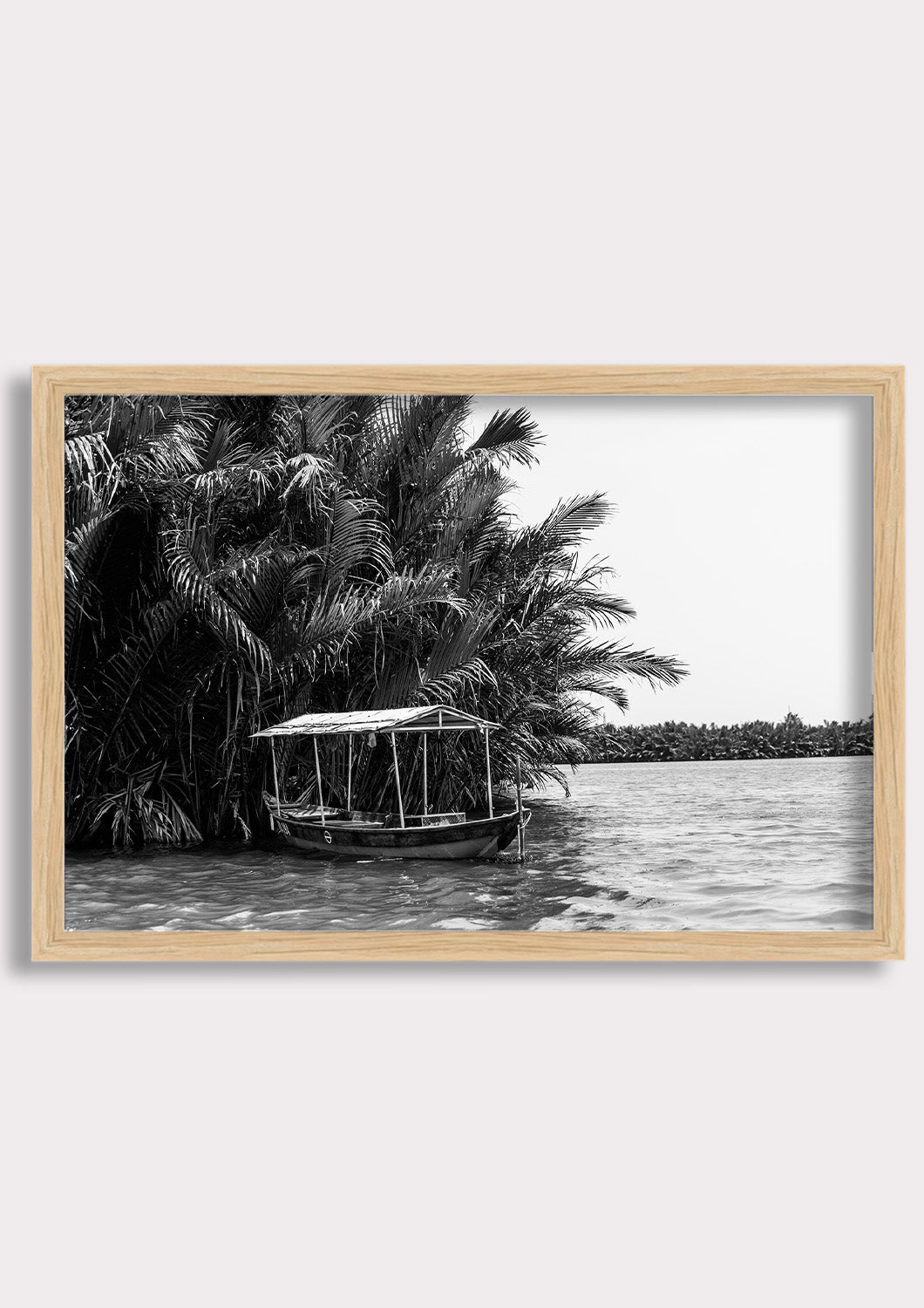 Tropical Stillness