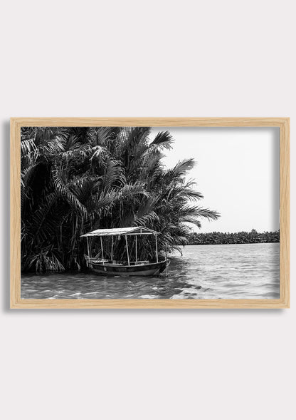 Tropical Stillness