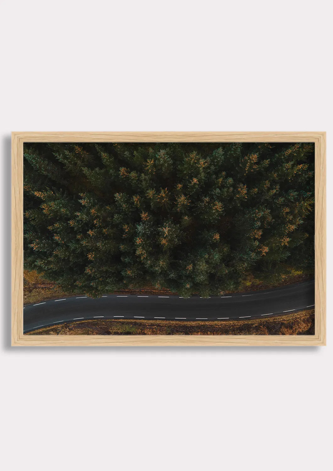 Winding Through Wilderness