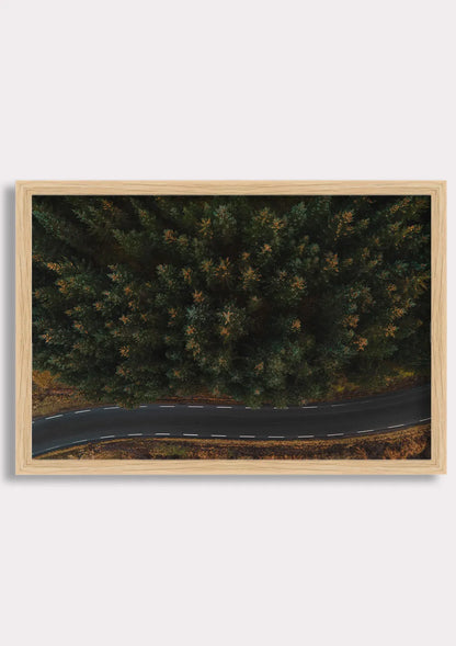 Winding Through Wilderness