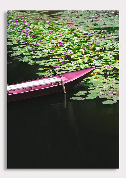 Lotus Drift
