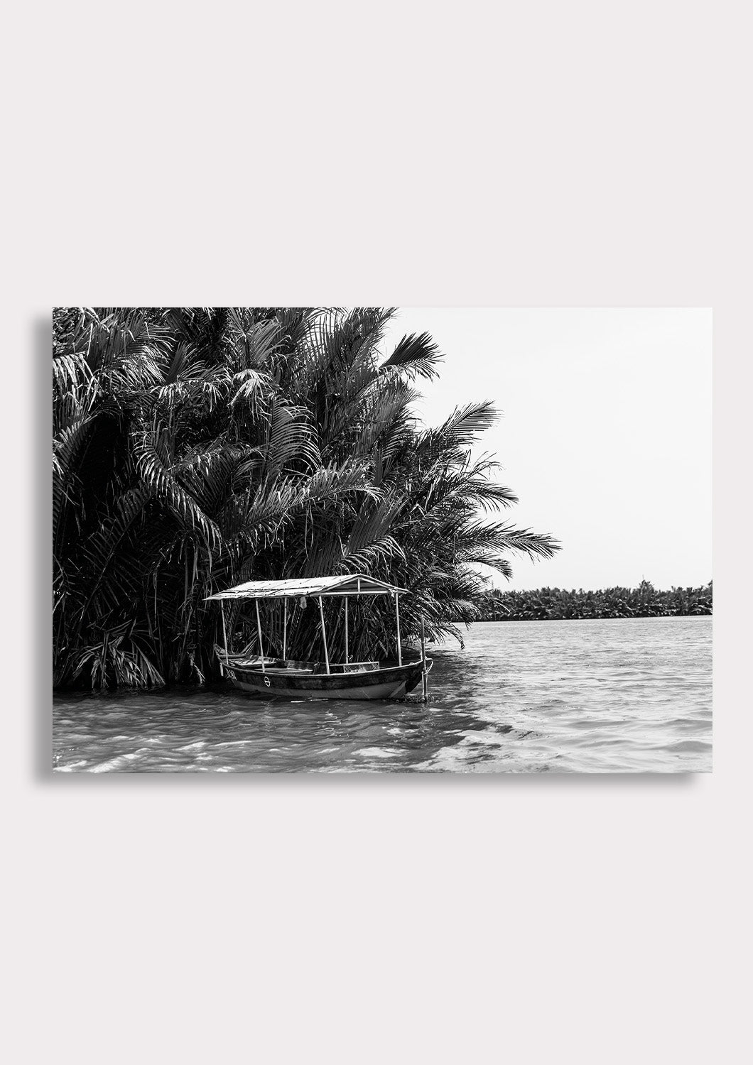 Tropical Stillness