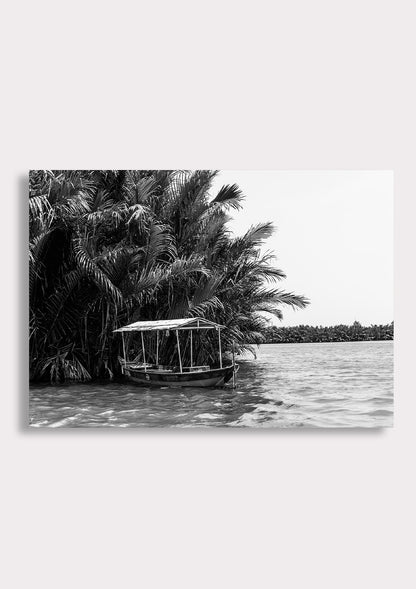Tropical Stillness