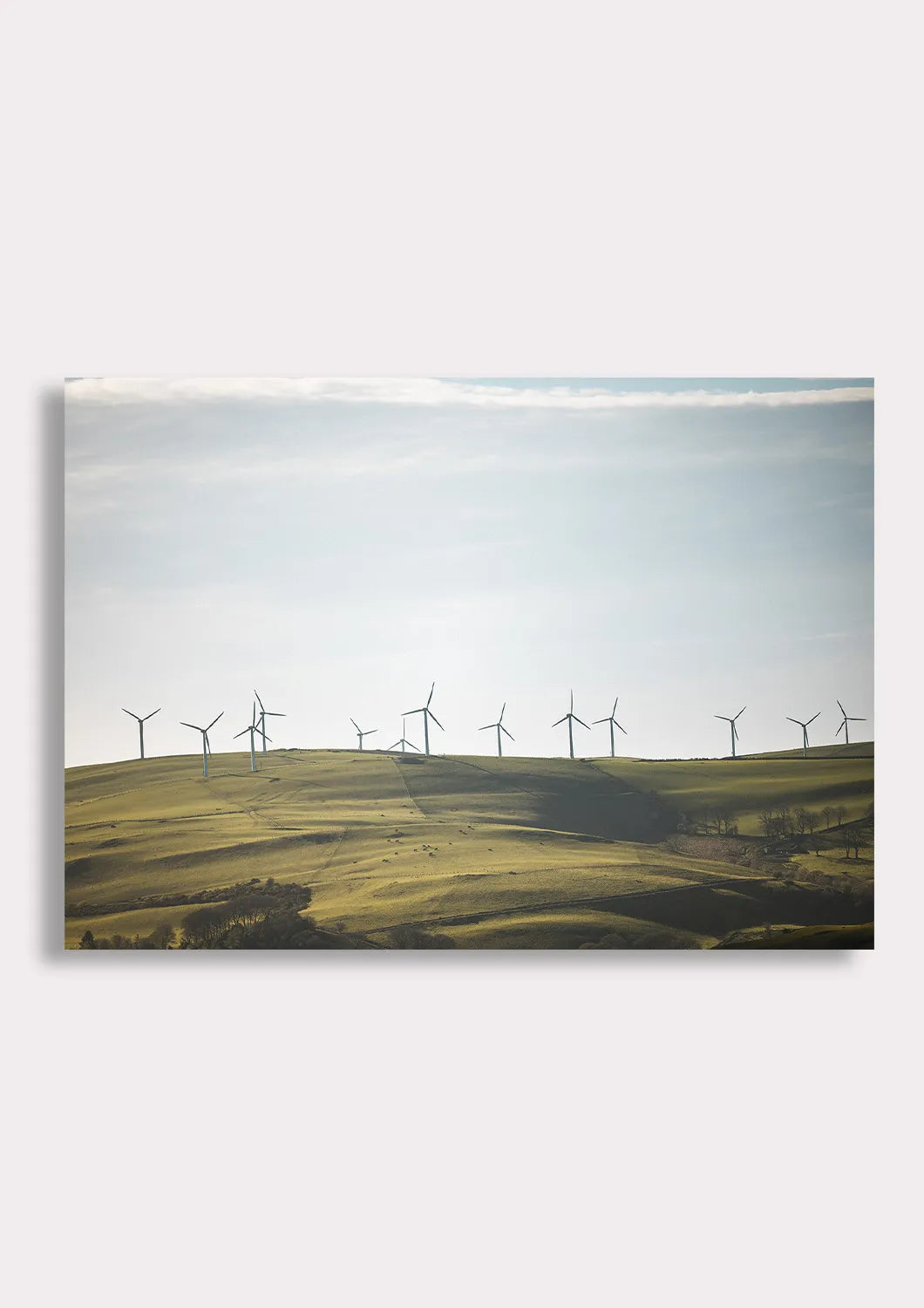 Whispers of the Wind