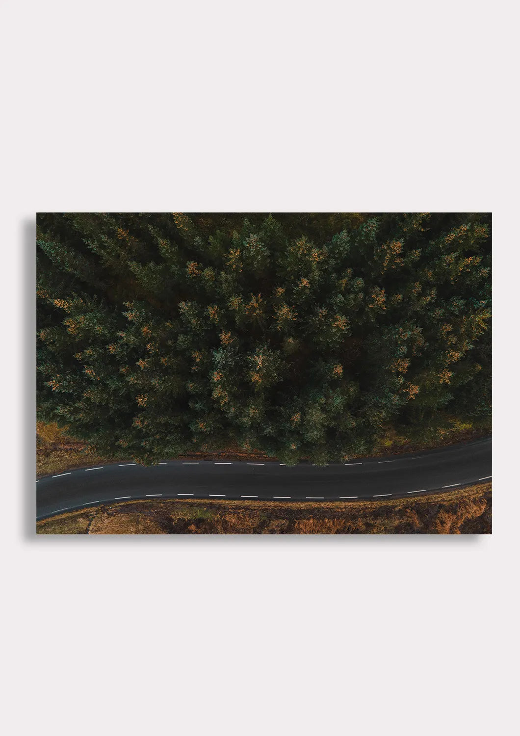 Winding Through Wilderness