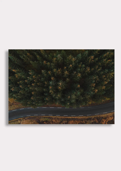 Winding Through Wilderness