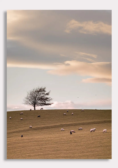 Whispers of the Meadow