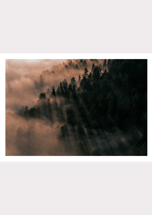 Veiled by Clouds