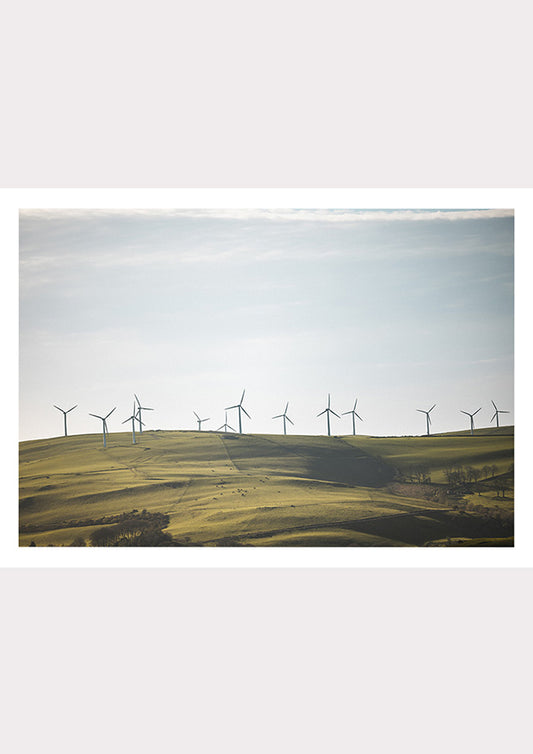 Whispers of the Wind