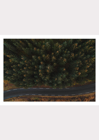 Winding Through Wilderness
