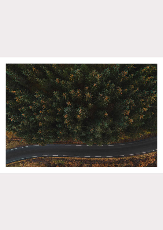 Winding Through Wilderness