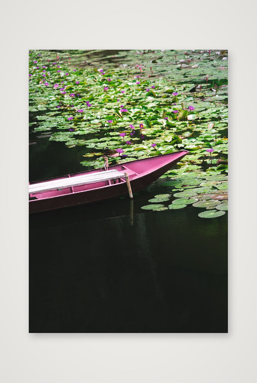 Lotus Drift — 59×84cm, 23×33" Print only