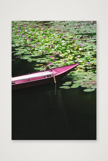 Lotus Drift — 42×59cm, 17×23" Print only