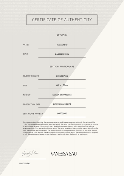 Earthbound — Certificate of Authenticity